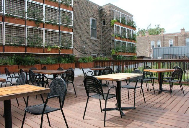 Your secret garden in Ukrainian Village