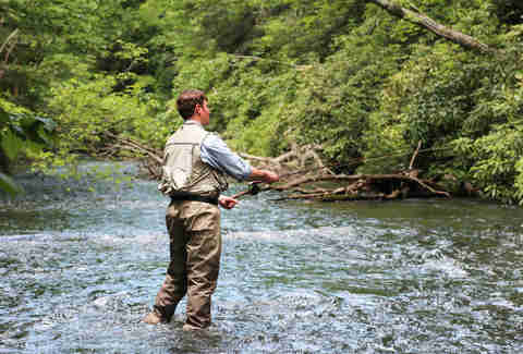 Primland Fish
