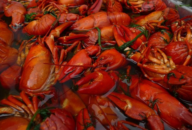 Swedish Crayfish Boil Party