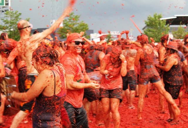 Tomato Battle