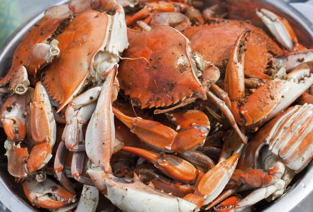The Blue Room's Blue Crab + Beer Fest 