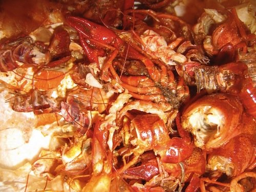 The Boiling Crab