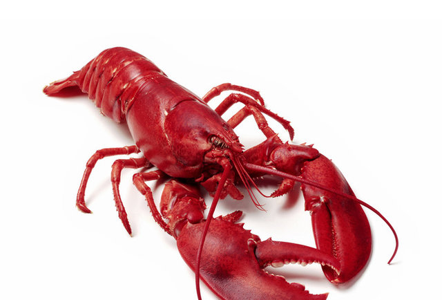 Lobster Rock