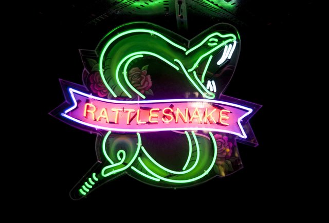 Rattlesnake
