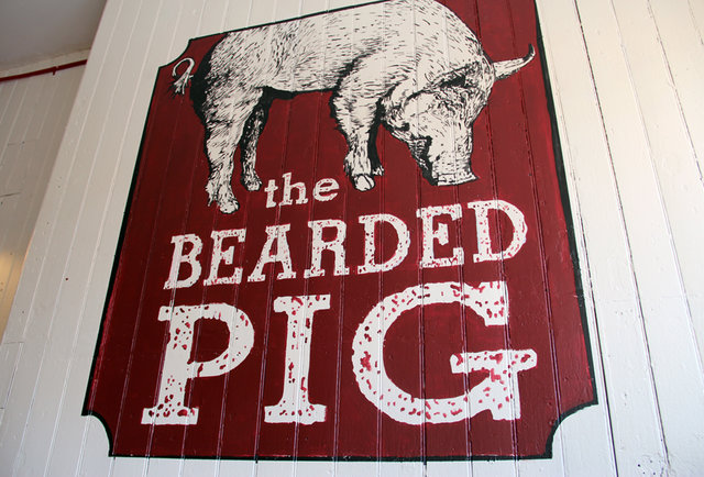The Bearded Pig