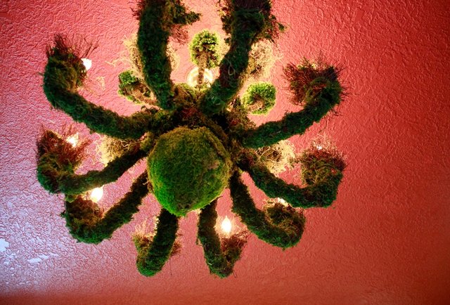 Nudi