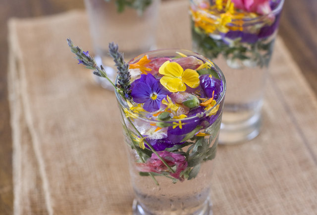 Snake Oil's Dark Side Of The Moon/Wizard Of Oz Cocktail Popup