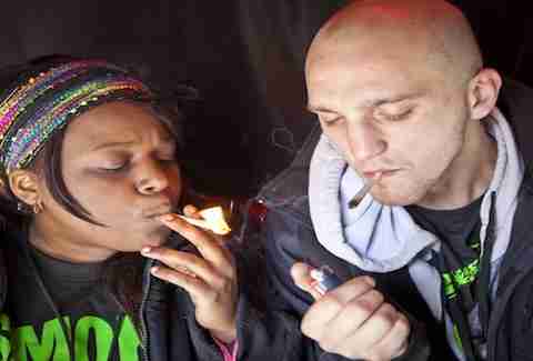 My 420 Tours marijuana tours of Colorado