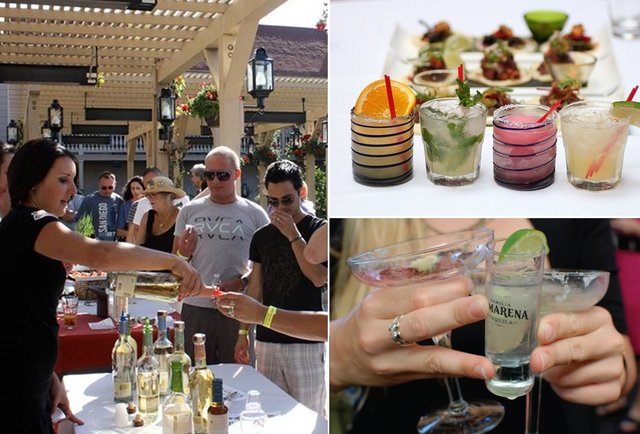 The Tequila Trail