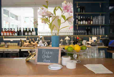 London Plane