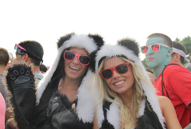 The Ladies of Electric Zoo