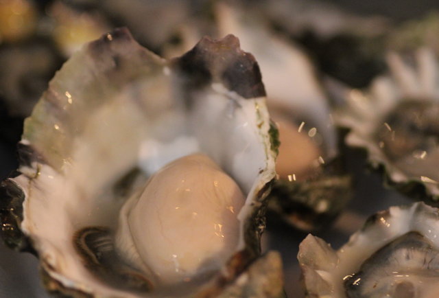 Fat Radish guys go oystering