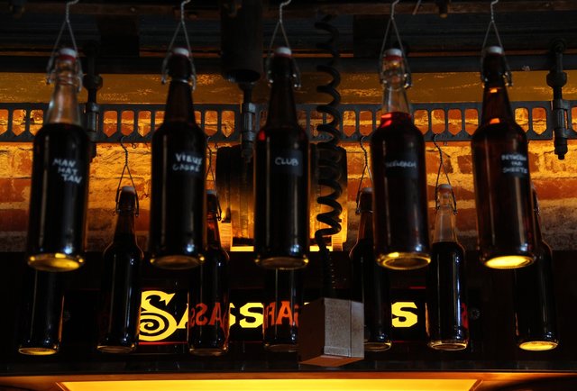 Sassafras