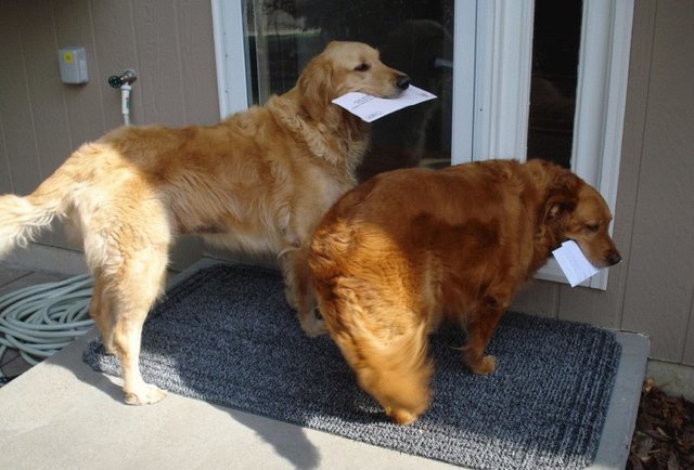 The Mailsack