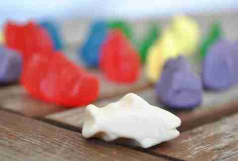shark bites