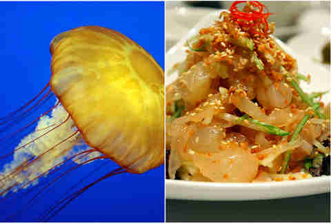 Jellyfish salad