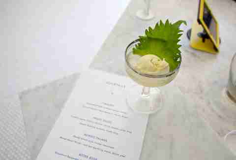 The Velvet Shiso at Fifty Licks in Portland
