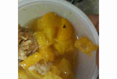 Gnat Too Appetizing Genoa Area High School