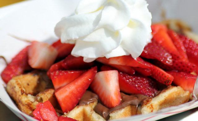 The Belgian Waffle Co.