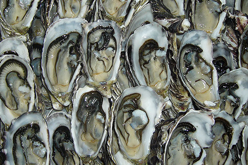 Eastern Clams and Misty Point Oysters at Fish Bar