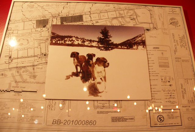 The Drafting Table