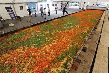 World's Largest Lasagna