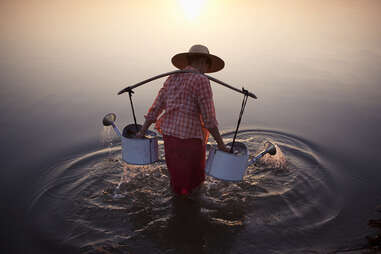 woman collects water