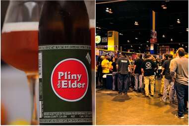 Pliny the Elder