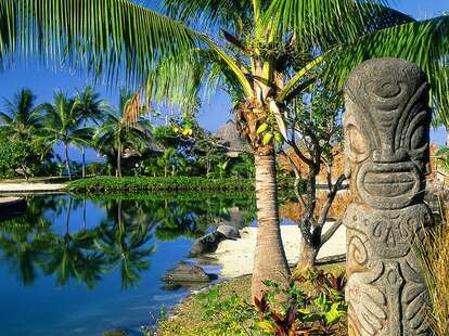 Intercontinental Tahiti Resort palm tree