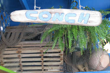 Conch shack