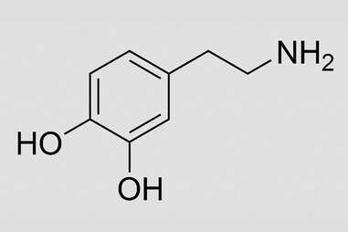 dopamine