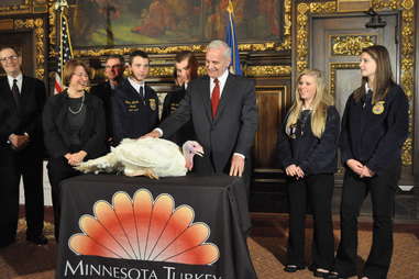 Governor Mark Dayton turkey