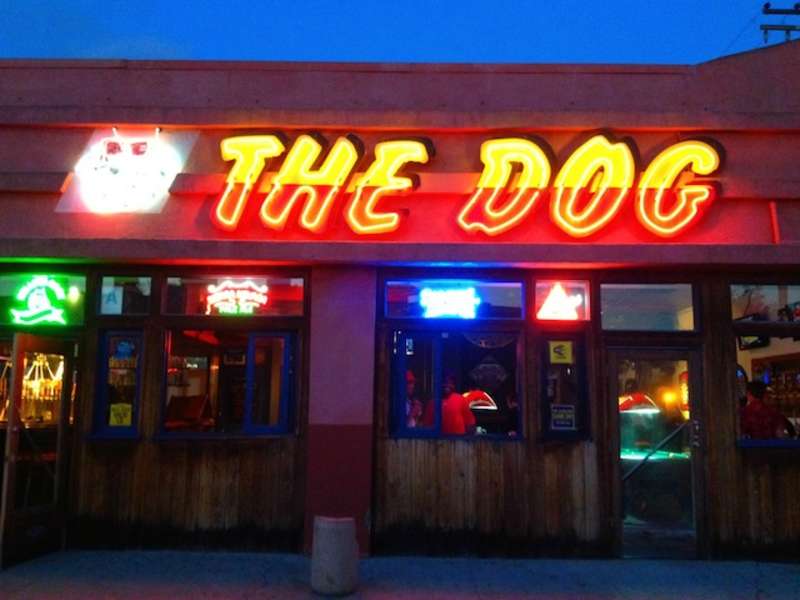 The Dog: A Bar in San Diego, CA - Thrillist