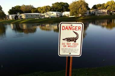 do not feed the alligators