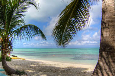 Turks & Caicos beach and palms