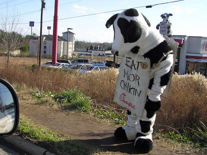 chick fil a cow costume