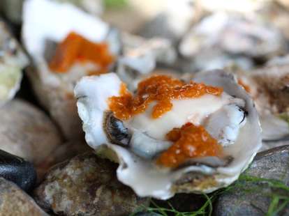 oysters