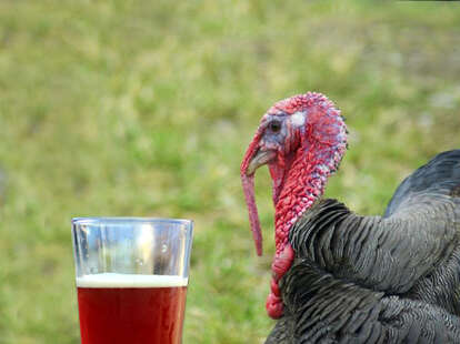 Turkey with a beer