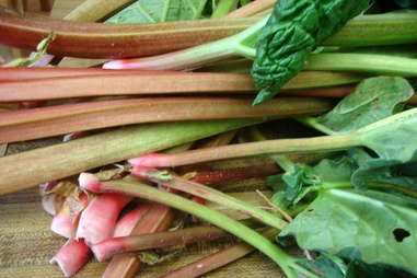 Rhubarb