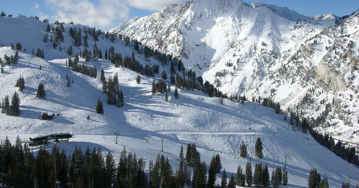 Alta snowbird on sale