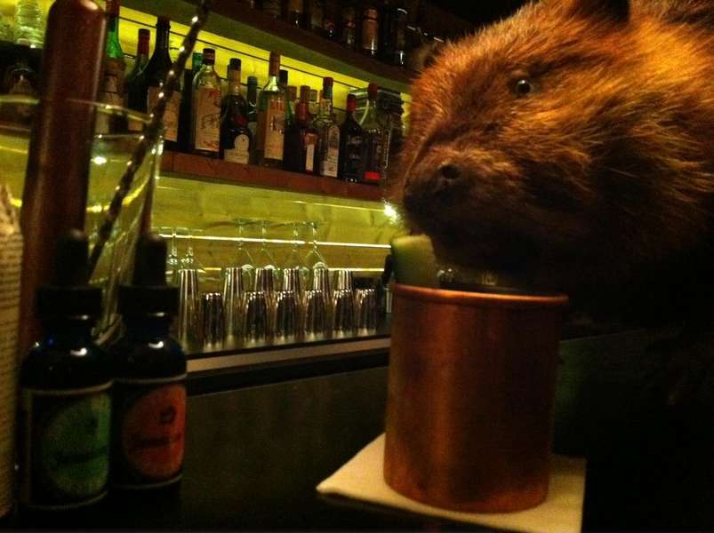 Castor Club A Bar in Paris, ÎledeFrance Thrillist