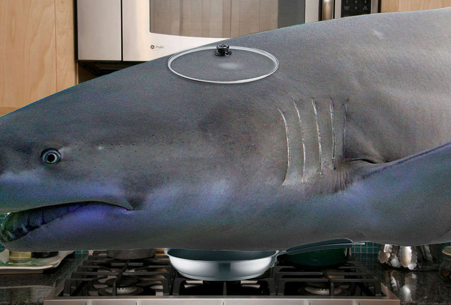 Dangerous fish you should eat before they eat you - Thrillist Nation