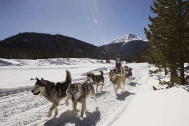 Good Times dog sledding, Breckenridge, Colorado