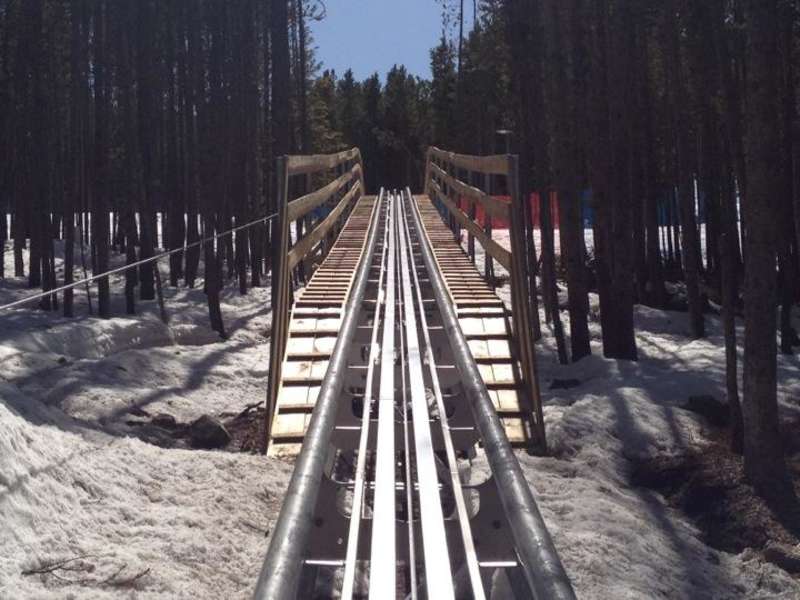 Gold Runner Alpine Coaster A Other in Breckenridge, CO Thrillist