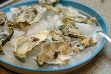 Oysters