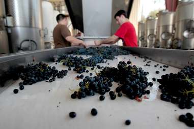 Fresno State Winery