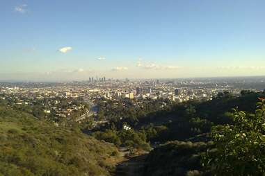 hollywood hills