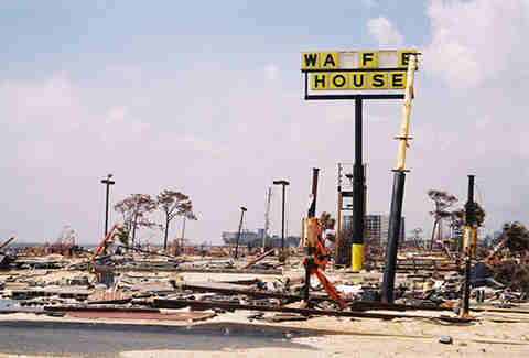 wheel s of toast eggs on fortune things Waffle know about you didn't House 12 the wheel s of toast eggs on fortune things Waffle know about you didn't House 12 the