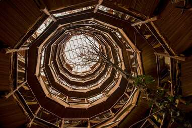 Treehouse hotel atrium