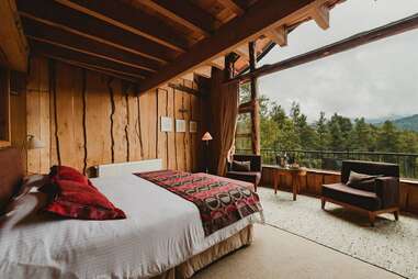 treehouse suite, bed, window